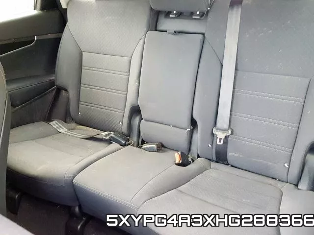 5XYPG4A3XHG288366_6.webp