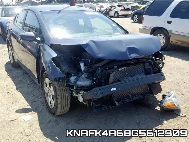 KNAFK4A68G5612309