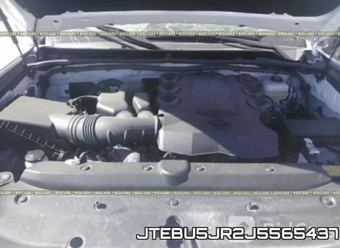 JTEBU5JR2J5565437