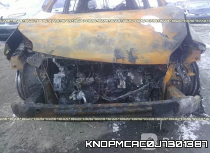 KNDPMCAC0J7301387_10.webp