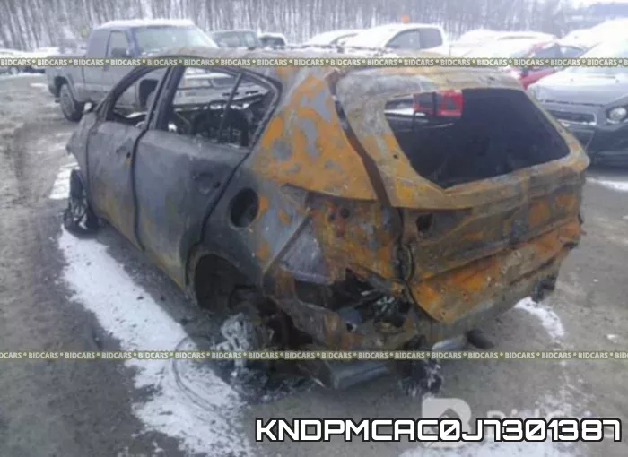KNDPMCAC0J7301387_3.webp
