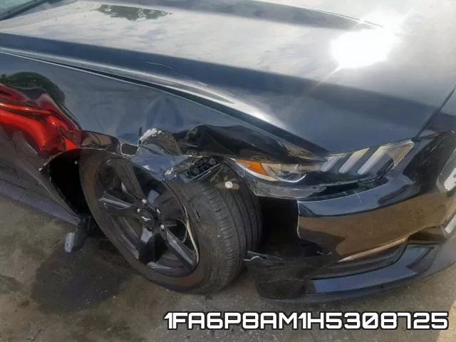 1FA6P8AM1H5308725