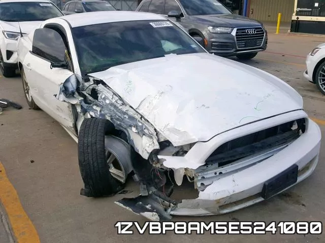1ZVBP8AM5E5241080