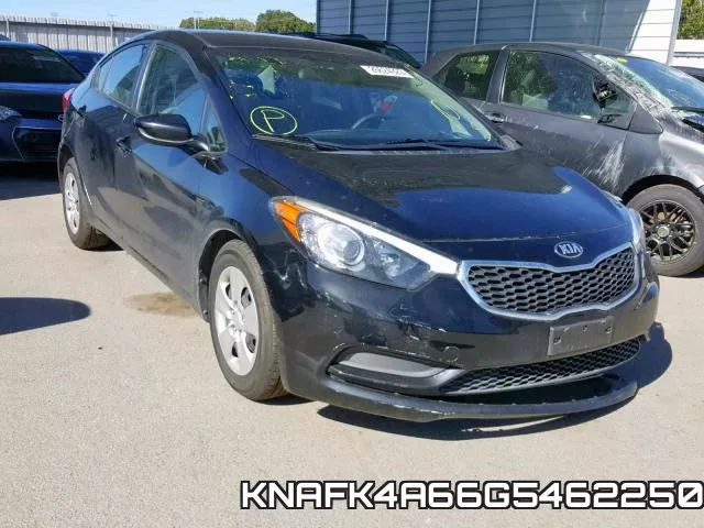 KNAFK4A66G5462250