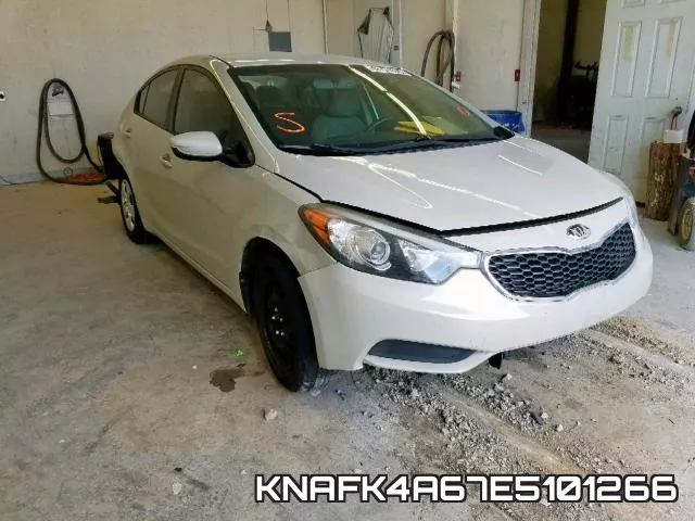 KNAFK4A67E5101266