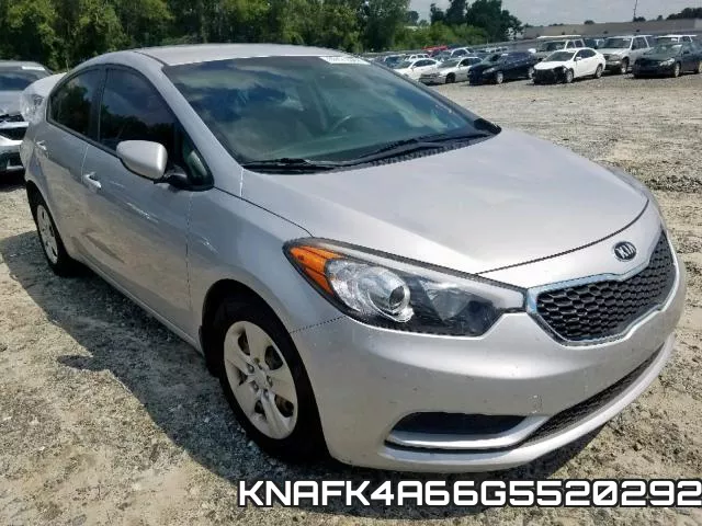 KNAFK4A66G5520292