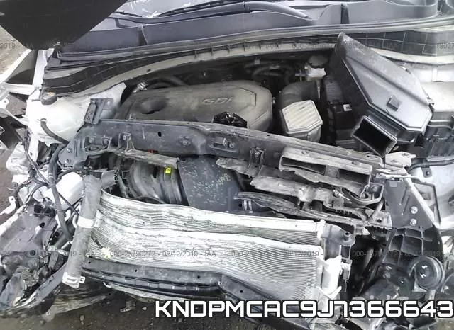 KNDPMCAC9J7366643_10.webp