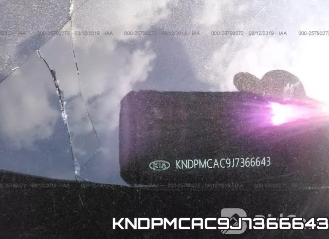 KNDPMCAC9J7366643_9.webp