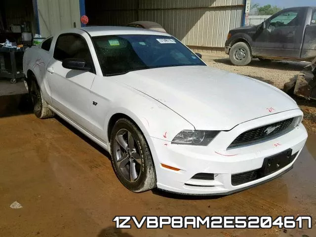 1ZVBP8AM2E5204617