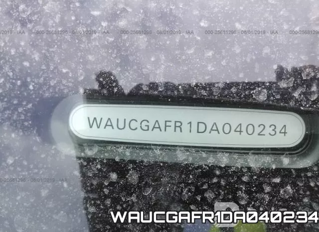 WAUCGAFR1DA040234