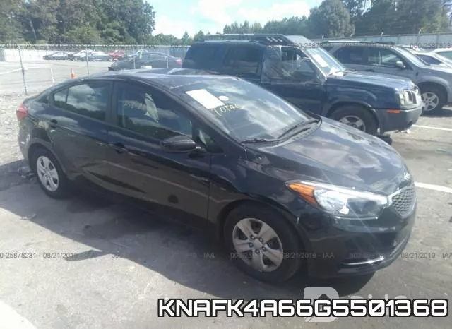 KNAFK4A66G5501368