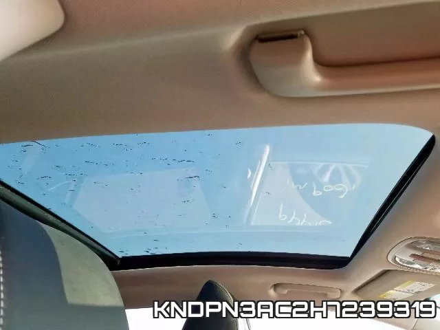KNDPN3AC2H7239319_9.webp