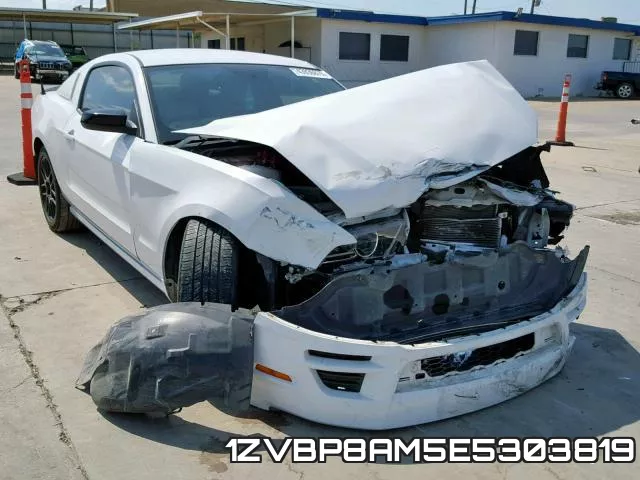 1ZVBP8AM5E5303819