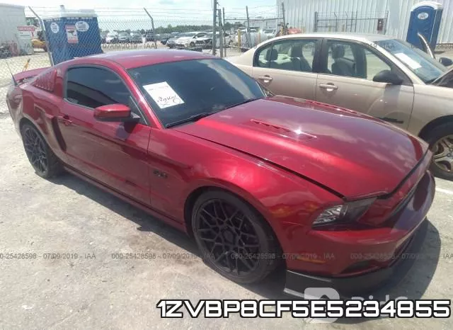 1ZVBP8CF5E5234855
