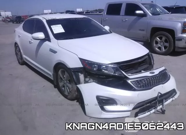 KNAGN4AD1E5062443