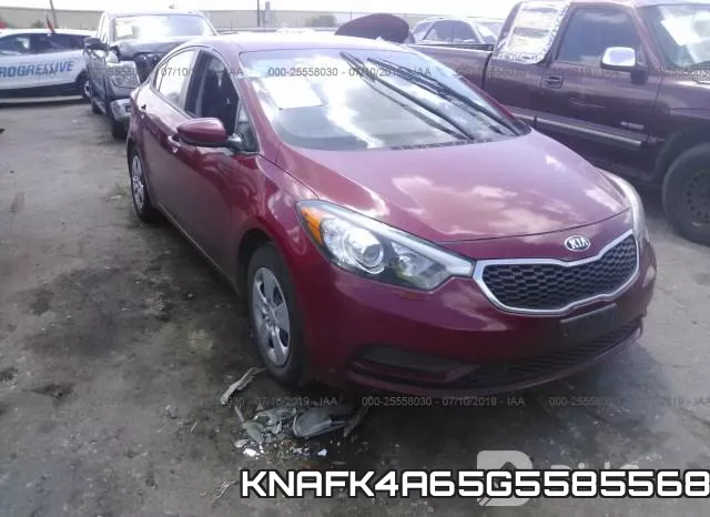 KNAFK4A65G5585568