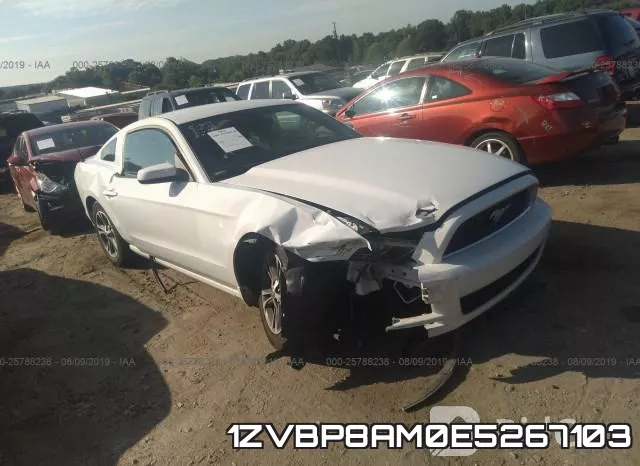 1ZVBP8AM0E5267103