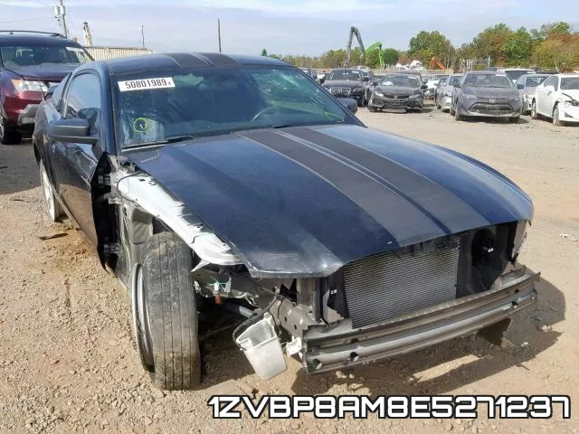 1ZVBP8AM8E5271237