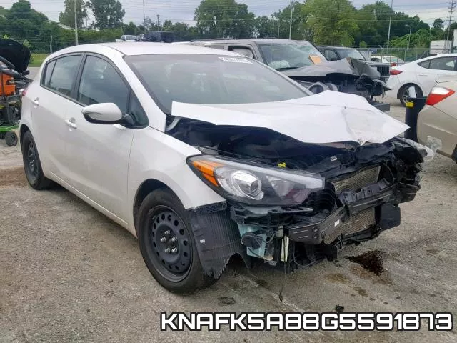 KNAFK5A88G5591873