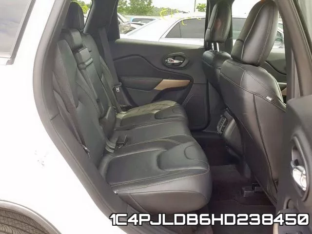 1C4PJLDB6HD238450_6.webp