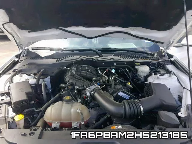 1FA6P8AM2H5213185