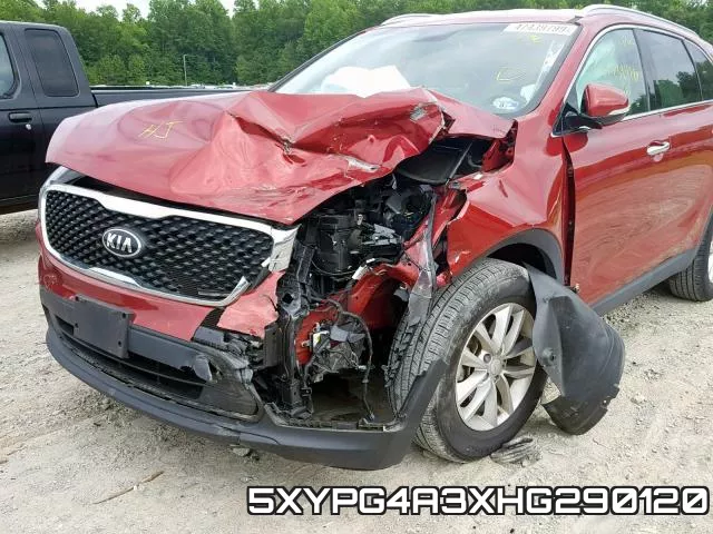 5XYPG4A3XHG290120_9.webp