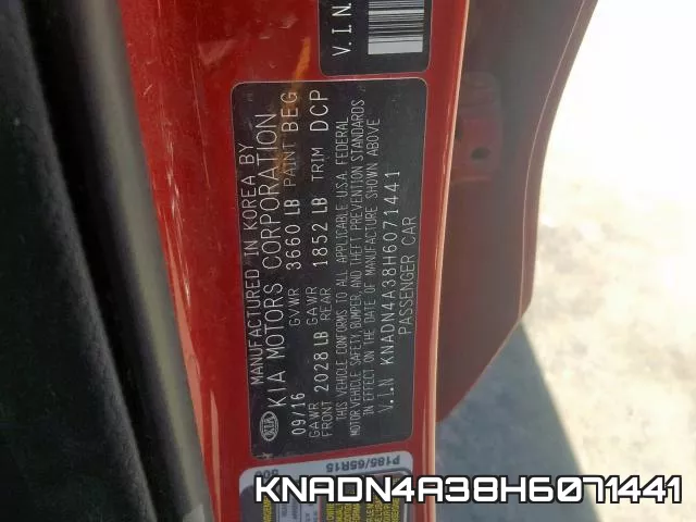 KNADN4A38H6071441_10.webp