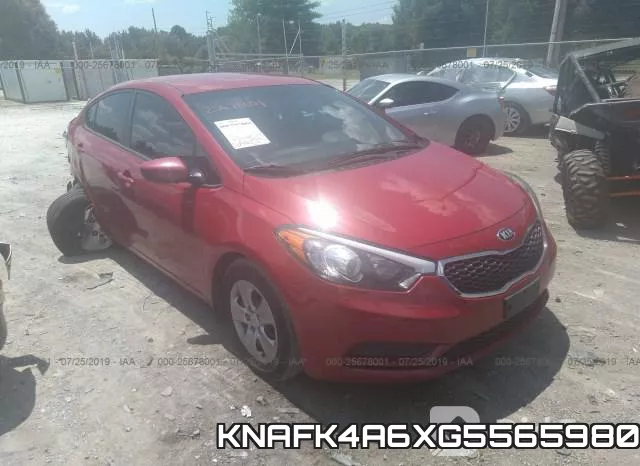 KNAFK4A6XG5565980