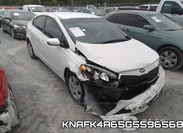 KNAFK4A65G5596568