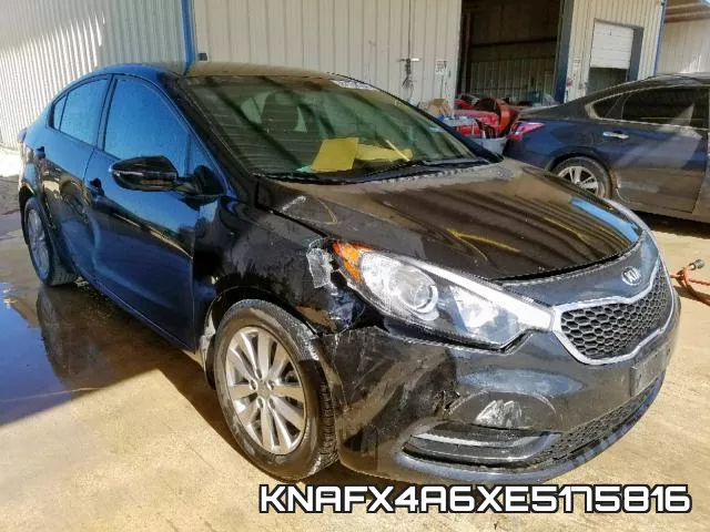KNAFX4A6XE5175816
