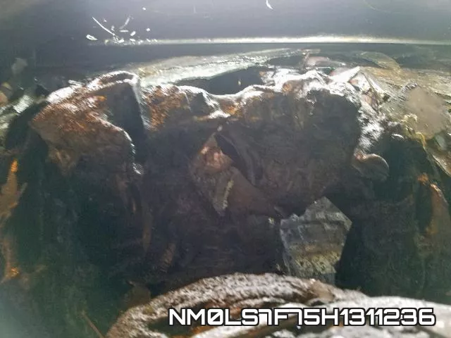 NM0LS7F75H1311236_8.webp