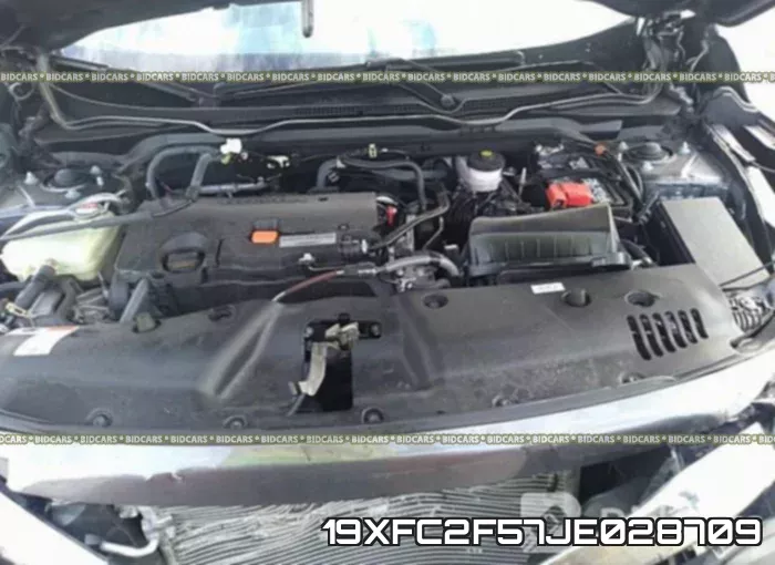 19XFC2F57JE028709_10.webp