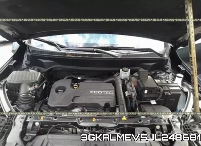 3GKALMEV5JL248681_10.webp