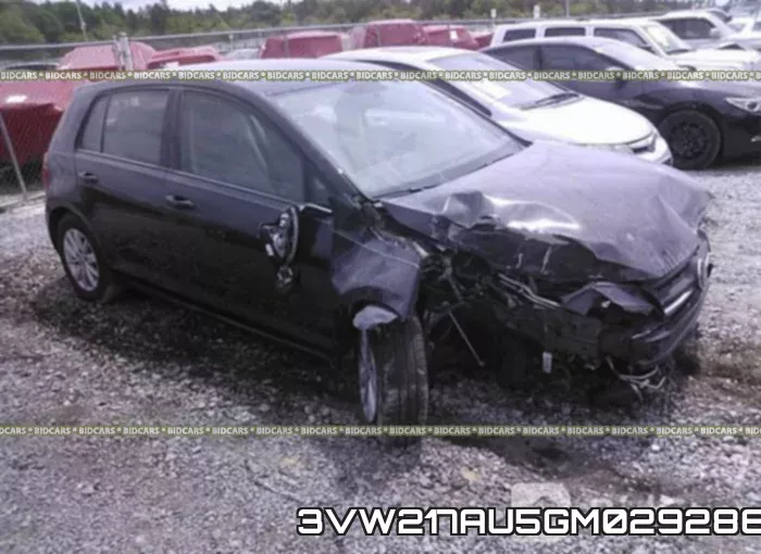 3VW217AU5GM029286