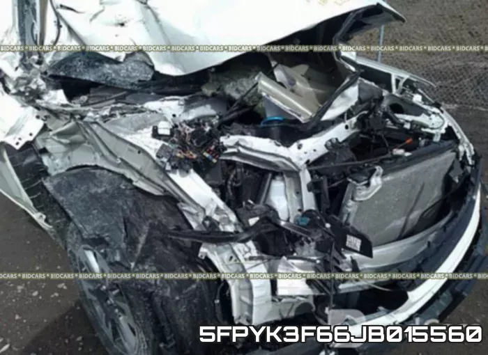 5FPYK3F66JB015560_6.webp