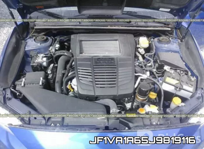 JF1VA1A65J9819116