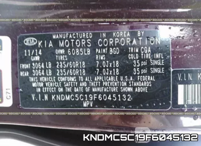 KNDMC5C19F6045132