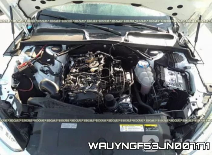WAUYNGF53JN007171_10.webp