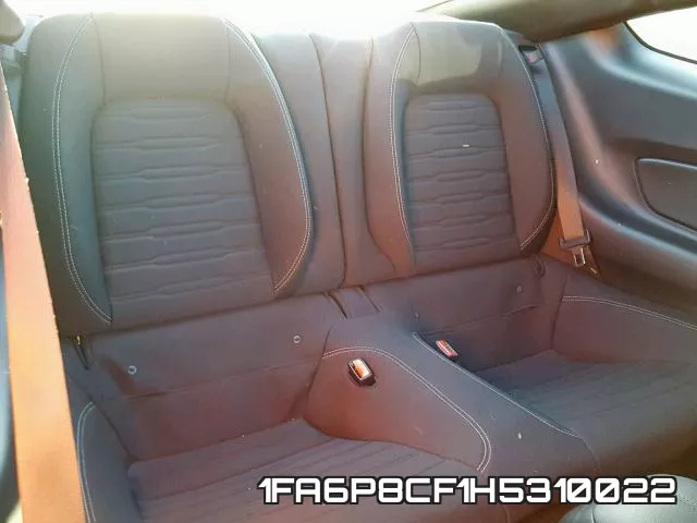 1FA6P8CF1H5310022_6.webp