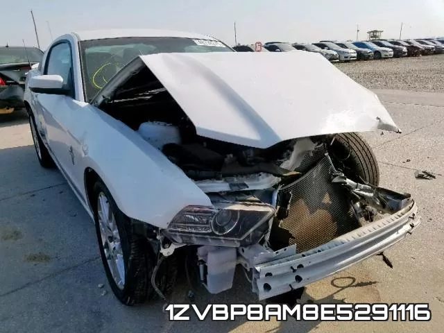 1ZVBP8AM8E5291116