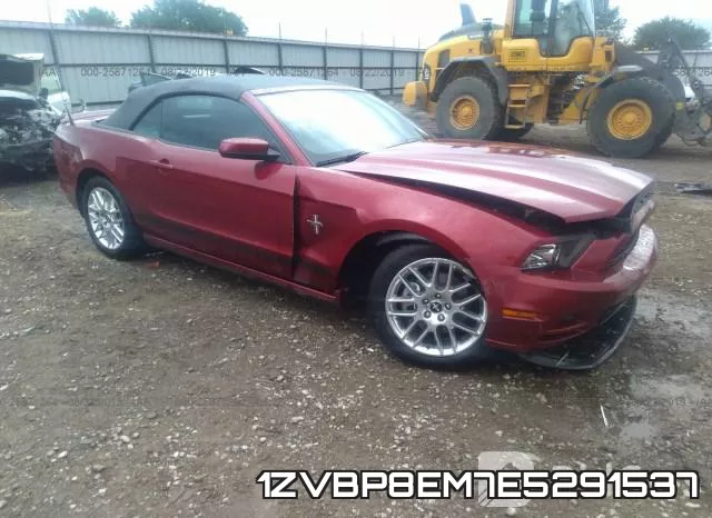 1ZVBP8EM7E5291537
