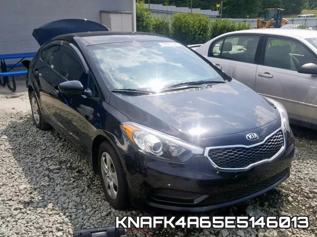 KNAFK4A65E5146013