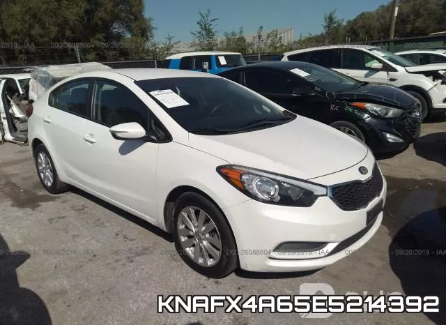 KNAFX4A65E5214392