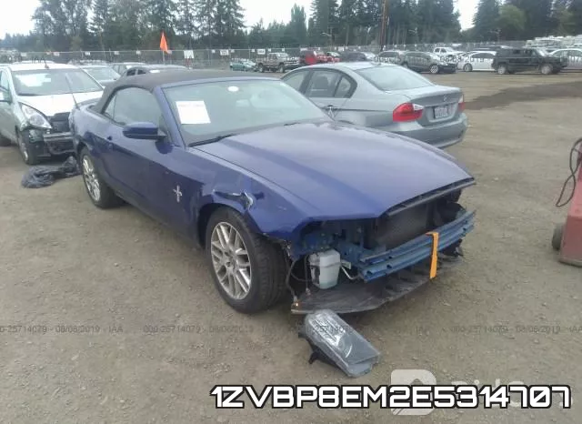 1ZVBP8EM2E5314707
