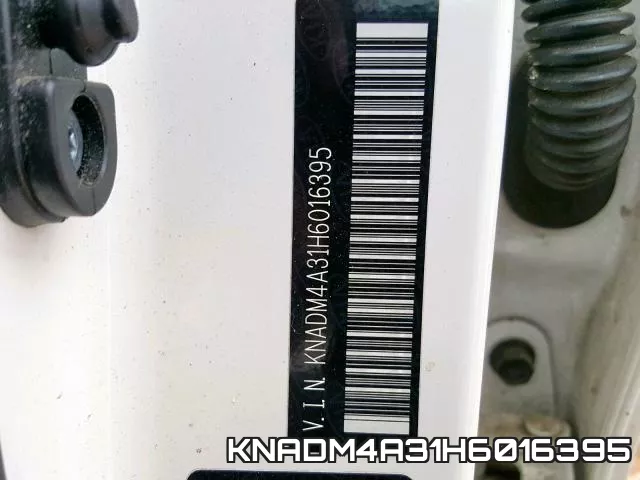 KNADM4A31H6016395_10.webp