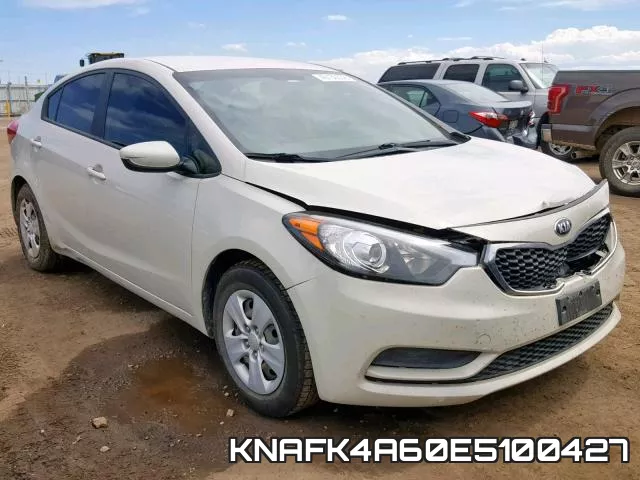 KNAFK4A60E5100427