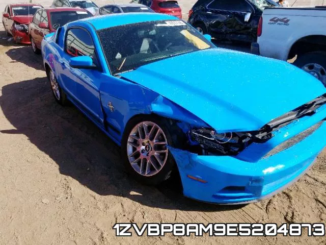 1ZVBP8AM9E5204873