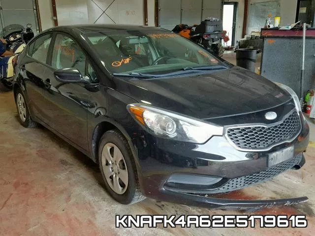 KNAFK4A62E5179616