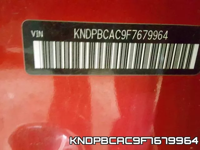 KNDPBCAC9F7679964_10.webp