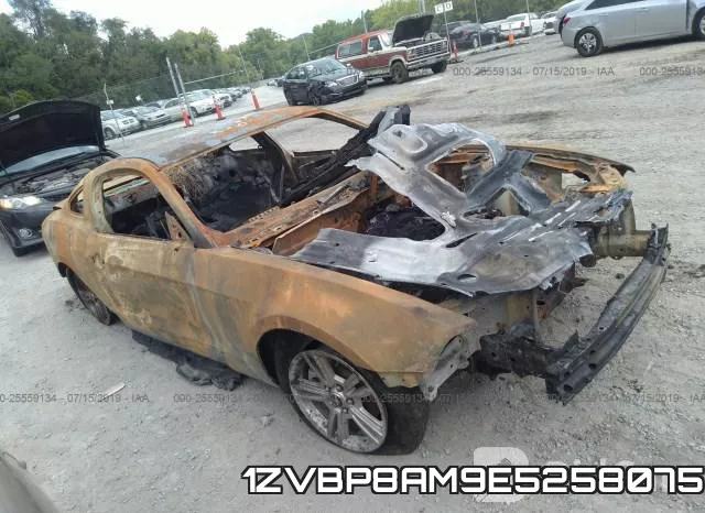 1ZVBP8AM9E5258075
